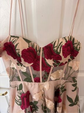 Windsor Blush Mini Dress with Red Rose Embroidery